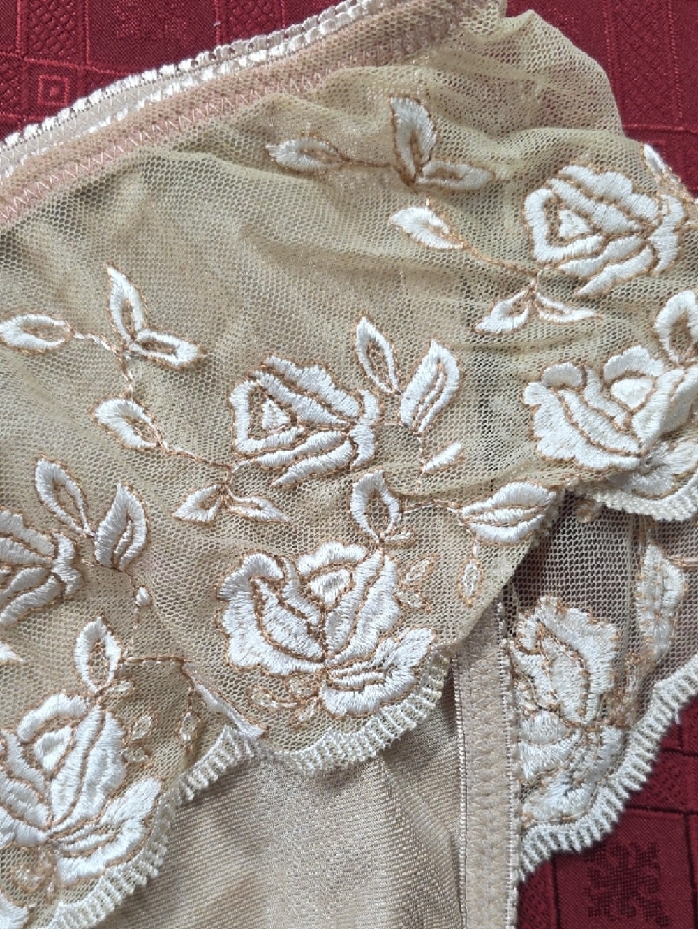 Delta Burke Satin Bikini Panty with Lace Appliqué in Champagne - Picture 3 of 3